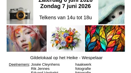 Hobby- en kunsttentoonstelling